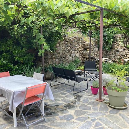 Maison Kyprea: Charmant Appartement /Duplex , Spacieux, Tout Confort Avec Terrasse Exterieure Privee, Parking Privatif , Vue Pittoresque Sur La Citadelle De Corte Et Les Montagnes. Exterior photo